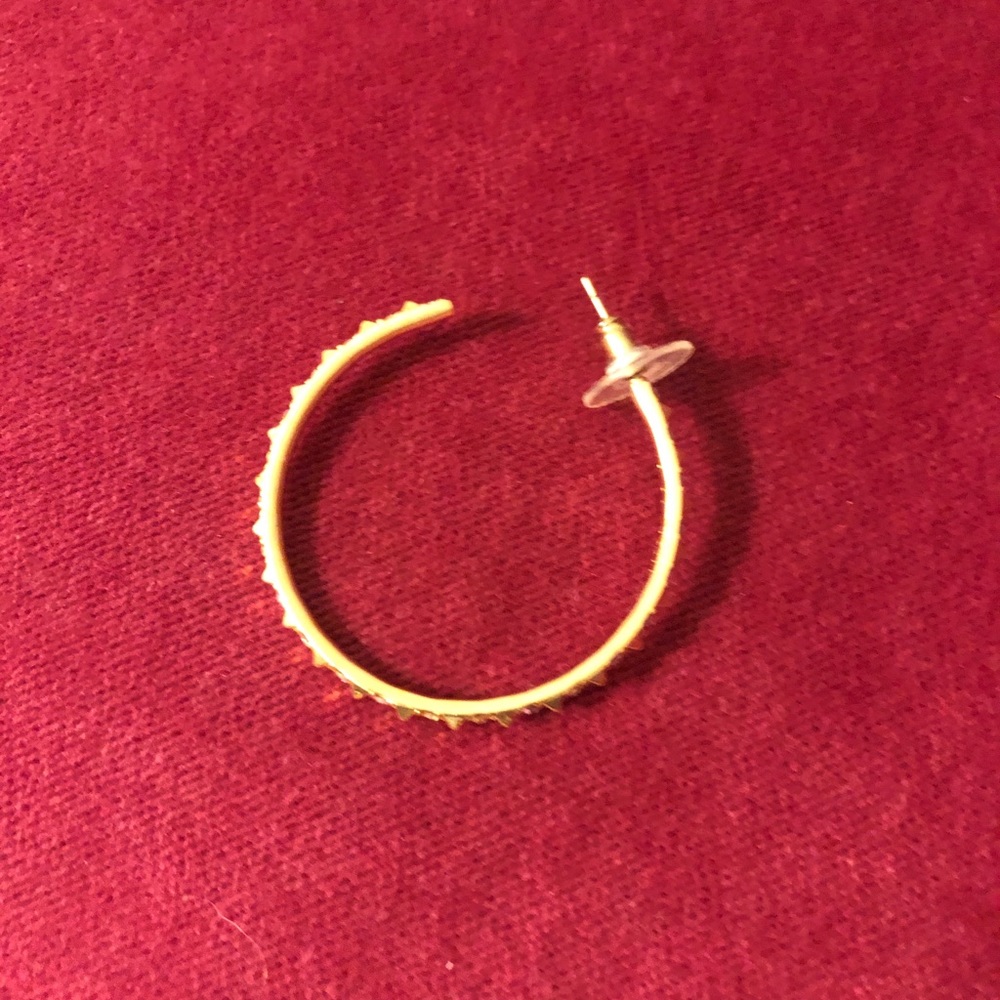 Hoop Earrings